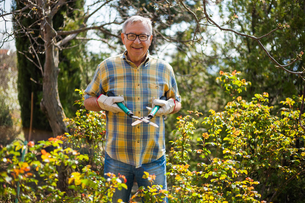 Senior man gardening - Photo, Image