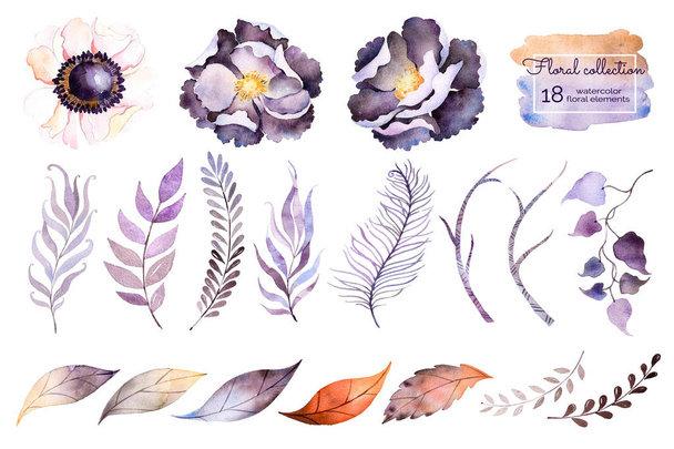watercolor collection with flowers - Photo, Image