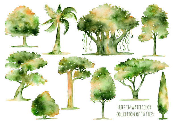 Set of hand drawn watercolor trees. - Photo, Image