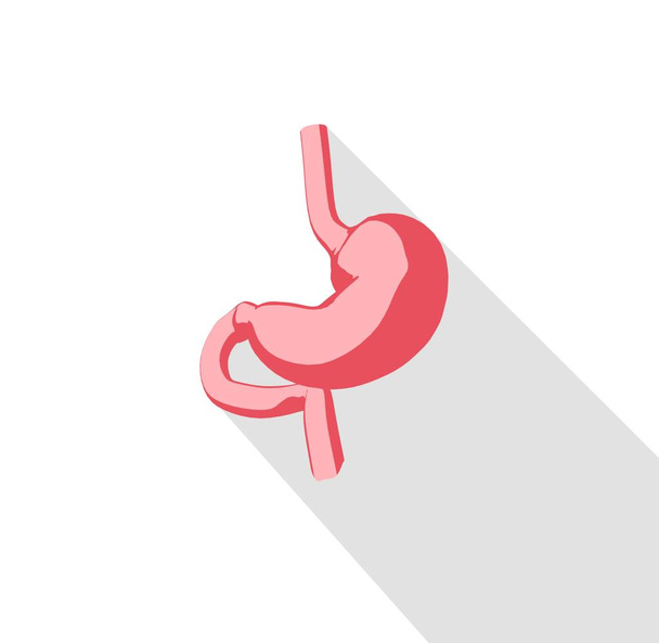 ikonę modelu anatomii żołądka - Zdjęcie, obraz