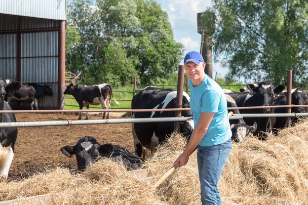 Фермер, що працює на фермі з молочними коровами
 - Фото, зображення