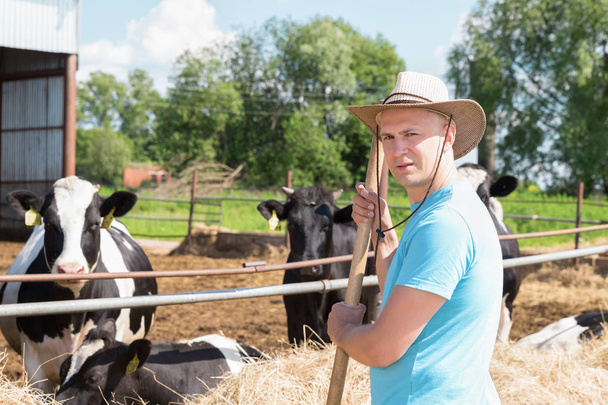 Landwirt arbeitet auf Bauernhof mit Milchkühen - Foto, Bild