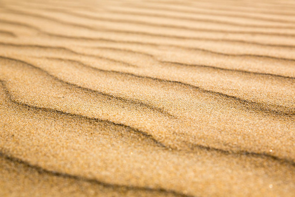 sandy waves of beach - Photo, Image