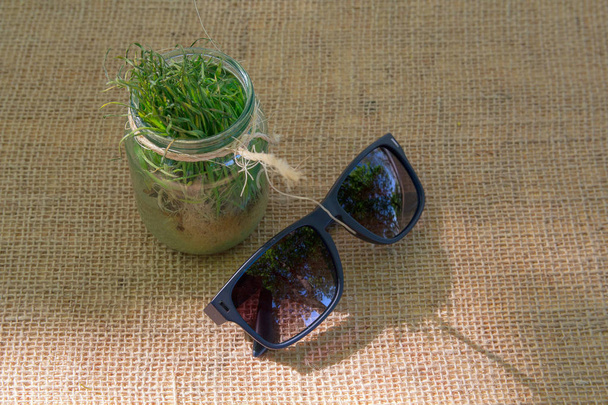 Lunettes de soleil et herbe dans un vase sur une surface textile
 - Photo, image