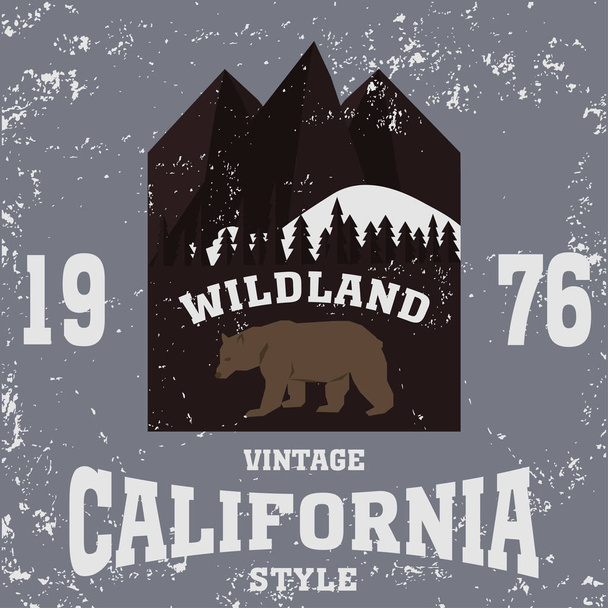 california vintage style - Vector, Image