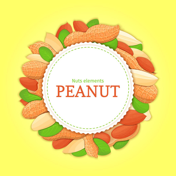 Pyöreä valkoinen runko koostuu maapähkinä. Vektorikorttikuva. Ympyrä pähkinät runko, maapähkinä hedelmät kuori, koko, kuoritut, lehdet ruokahalua etsivät pakkaus suunnittelu terveellistä ruokaa
 - Vektori, kuva