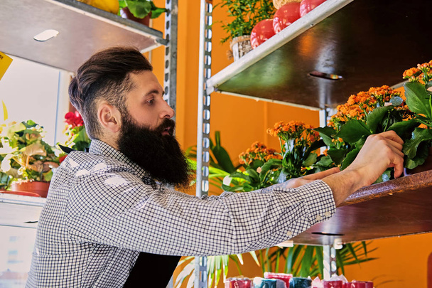 Bir çiçekçi dükkanı sakallı dövmeli adam - Fotoğraf, Görsel