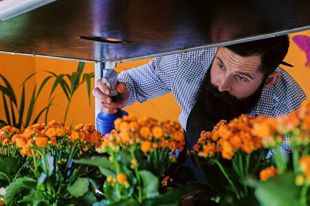 Hombre barbudo regando flores
 - Foto, imagen