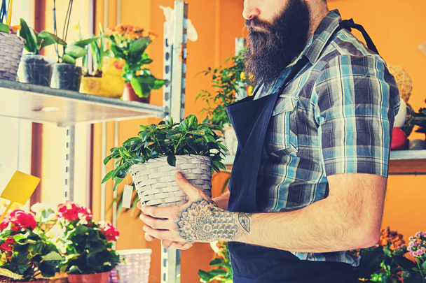Бородатий продавець квітів у квітковому магазині
 - Фото, зображення