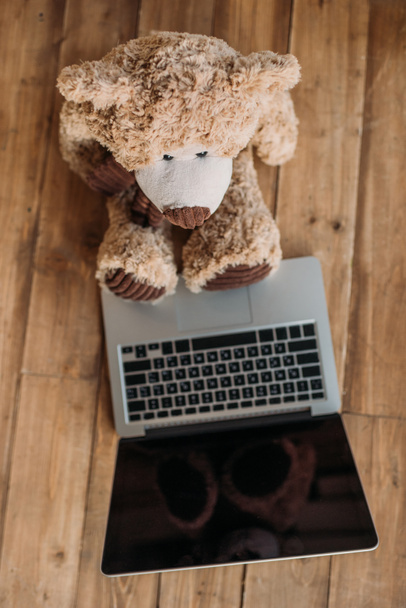 teddy bear and laptop - 写真・画像