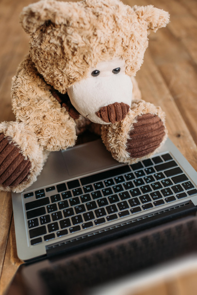 teddy bear and laptop - Foto, afbeelding