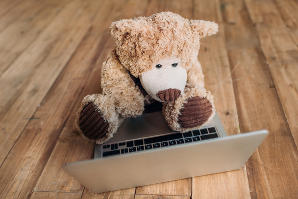 teddy bear and laptop - Photo, Image
