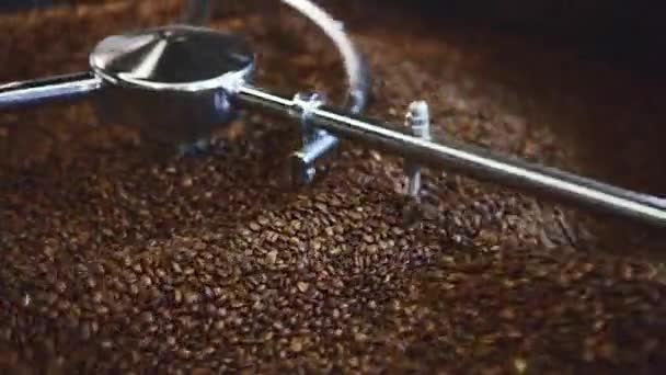 coffee beans blending in machine - Metraje, vídeo