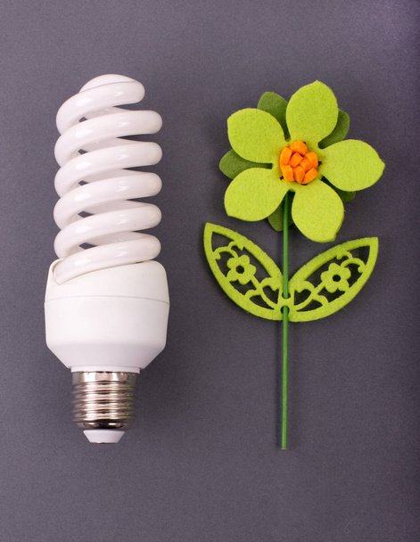 Eco bulb with flower - Foto, Imagem