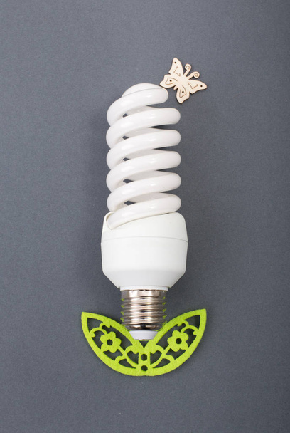 Plant made of eco bulb - Photo, Image