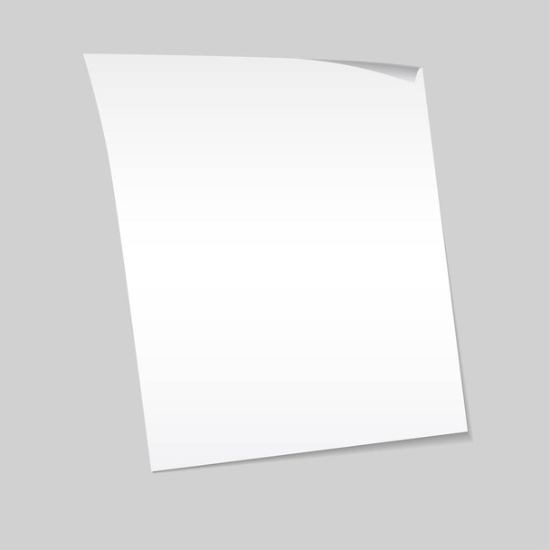 El papel sobre un fondo gris se burla. Ilustración vectorial
 - Vector, imagen