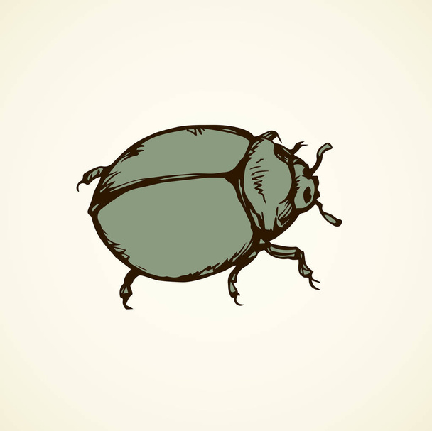 Escarabajo. Dibujo vectorial
 - Vector, Imagen