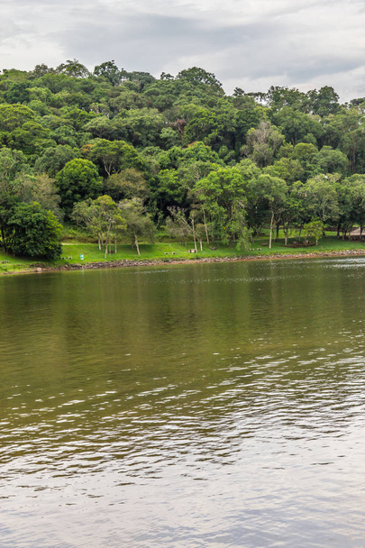 Árboles en el lago Garibaldi en Encantado
 - Foto, imagen