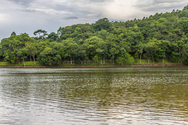 Árboles en el lago Garibaldi en Encantado
 - Foto, Imagen