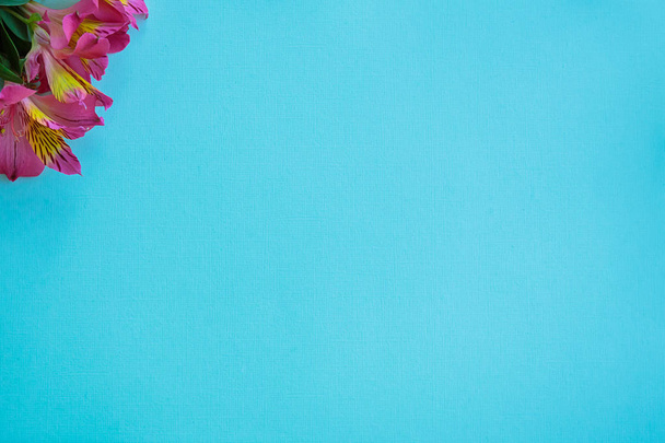 Letní a jarní pozadí. Fialový a bílý kosatců květin na modrém pozadí. Volné místo - Fotografie, Obrázek