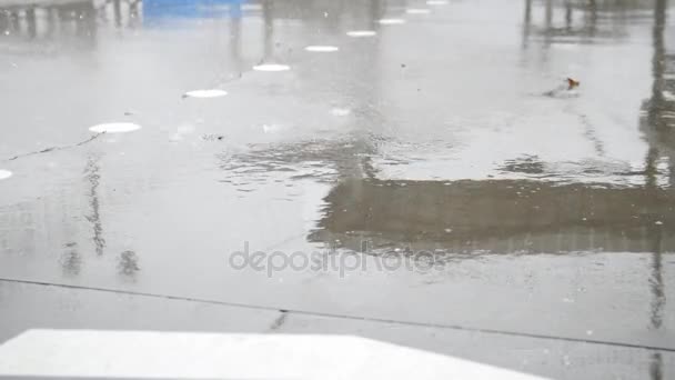 Yağmur damla su görünümü kapatın. Yağış serpin - Video, Çekim