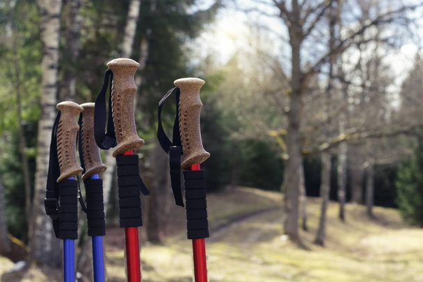Closeup of Nordic walking poles handles, on forest trails background - Photo, Image