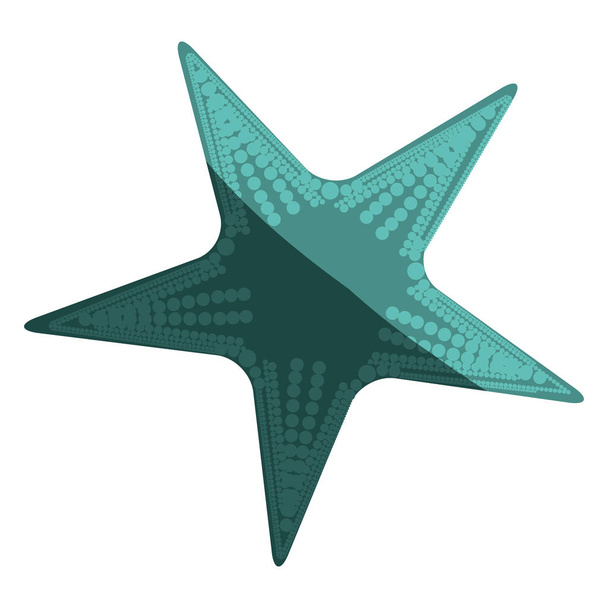 fehér háttér, akvamarin tengeri csillag - Vektor, kép