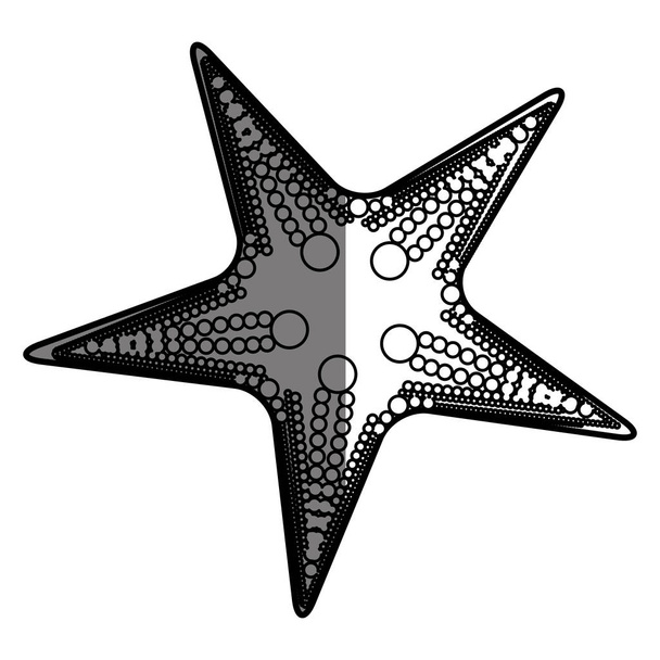 λευκό φόντο με μονόχρωμη σιλουέτα αστερίες και μισή σκιά - Διάνυσμα, εικόνα