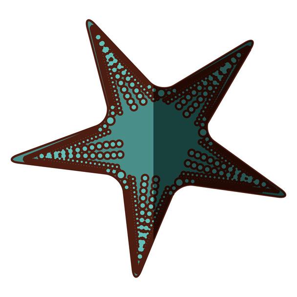 white background with aquamarine starfish and middle shadow - Vector, Image