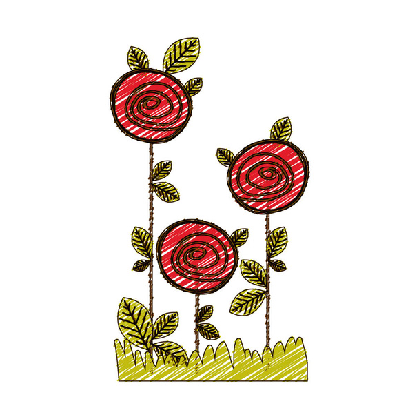dibujo a lápiz de color de rosas plantadas con hojas y pastos
 - Vector, imagen