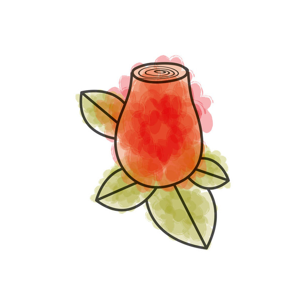 acuarela dibujo de capullo de rosa rojo con hojas de primer plano
 - Vector, imagen
