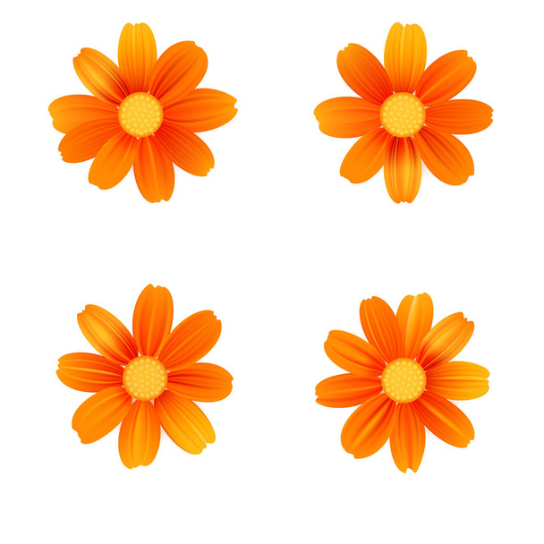 Set of isolated yellow gerbera or daisy. Vector colorful flowers on white background. Template for for t-shirt, fashion, prints and other design - Vector, Image