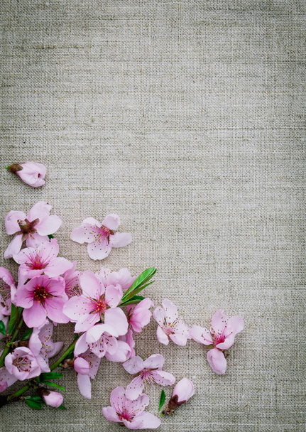 Background for creativity. Linen fabric and spring flowers - Photo, Image