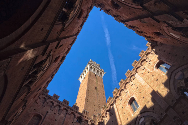 Torre del Mangia from the Courtyard - Siena - 写真・画像