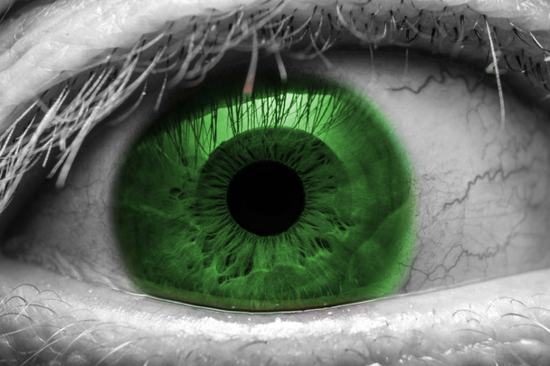 Makroszintű Zöld emberi szem - Fotó, kép