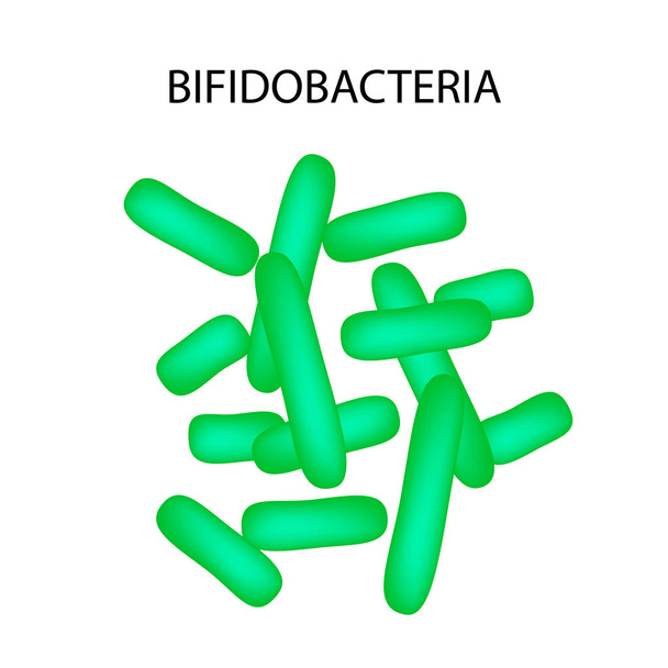 Bifidobacterium. Infographics. Vectorillustratie op geïsoleerde achtergrond. - Vector, afbeelding