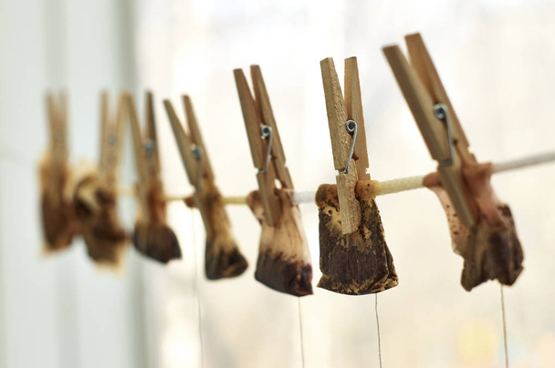 Used tea bags hanging on the clothesline - Photo, Image