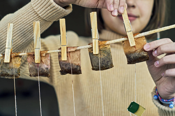 Girl hanging used tea bags for drying - Photo, Image