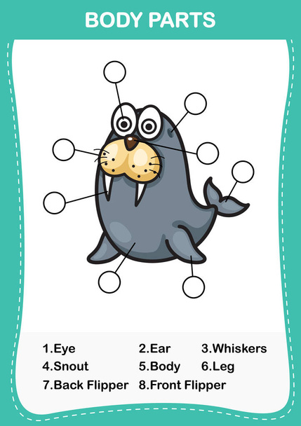 Ilustração do vocabulário do leão-marinho parte do corpo, Escreva o corr
 - Vetor, Imagem