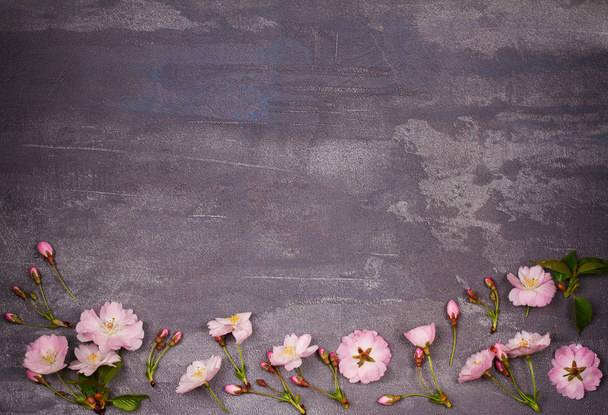 Flower frame on gray shabby chic background. Springtime blooming. Pink spring flowers. Top view with copy space - 写真・画像