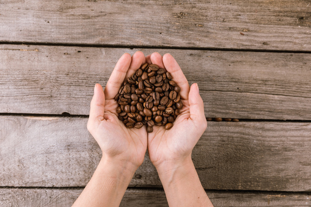 コーヒー豆を手に - 写真・画像