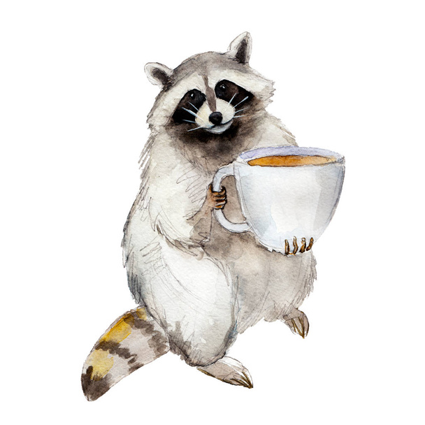 Racoon con taza de café, carácter animal aislado sobre fondo blanco acuarela ilustración
. - Foto, Imagen
