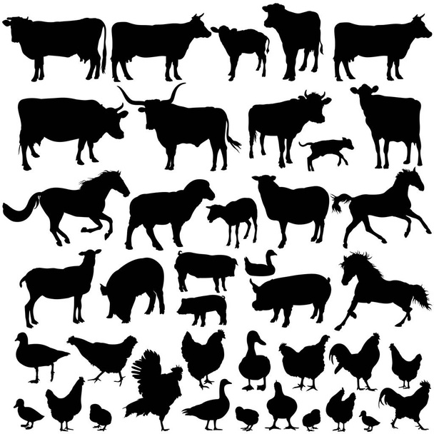Vector silhouettes of farm animals - Vektör, Görsel