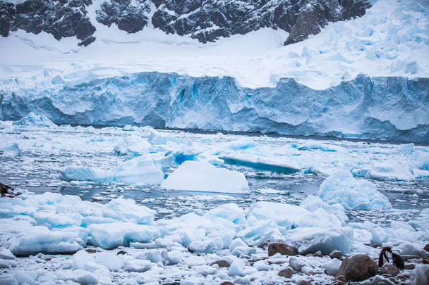 Küste Antarktis mit Eis und Eisbergen von ungewöhnlichen Formen, Farben - Foto, Bild