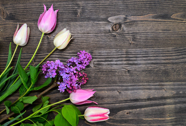 tulipanes y fondo lila
 - Foto, imagen
