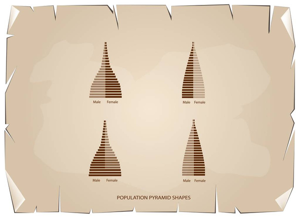 die 4 Arten von Bevölkerungspyramiden-Diagrammen - Vektor, Bild