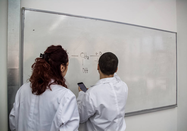 Los médicos jóvenes se imprimen algunos elementos químicos en un jabalí blanco
 - Foto, Imagen