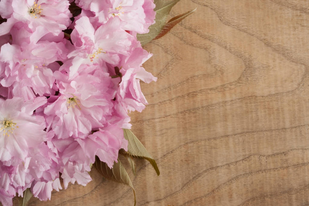 Pink Kwanzan cherry blossoms on a wooden background with copy space - Fotografie, Obrázek