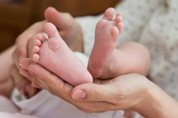Parent hands gently holding baby feet from below - Valokuva, kuva