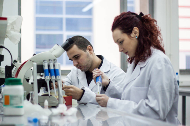 Scientifique moderne travaillant avec pipette dans un laboratoire de biotechnologie
 - Photo, image